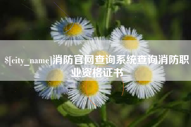乌鲁木齐消防官网查询系统查询消防职业资格证书