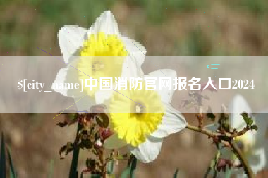 乌鲁木齐中国消防官网报名入口2024