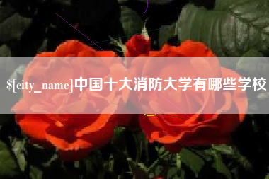乌鲁木齐中国十大消防大学有哪些学校