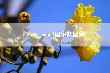 乌鲁木齐国家队图案