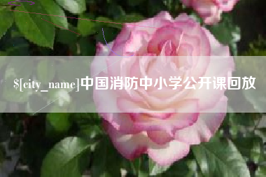 乌鲁木齐中国消防中小学公开课回放