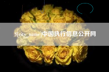 乌鲁木齐中国执行信息公开网