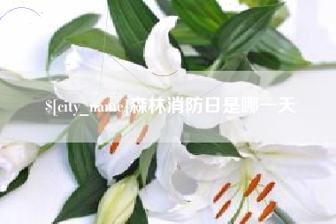 乌鲁木齐森林消防日是哪一天
