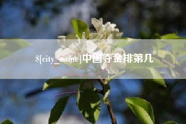 乌鲁木齐中国夺金排第几