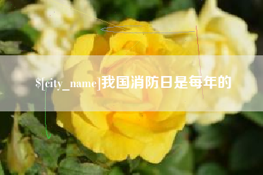 乌鲁木齐我国消防日是每年的