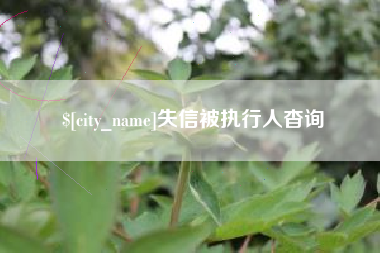 乌鲁木齐失信被执行人杳询
