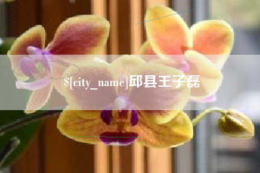 乌鲁木齐邱县王子磊
