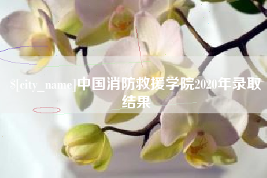 乌鲁木齐中国消防救援学院2020年录取结果