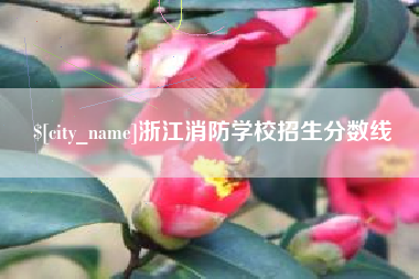 乌鲁木齐浙江消防学校招生分数线