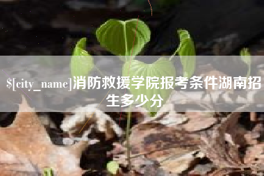 乌鲁木齐消防救援学院报考条件湖南招生多少分