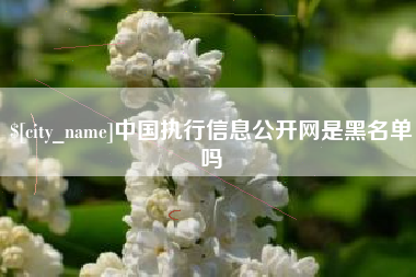 乌鲁木齐中国执行信息公开网是黑名单吗