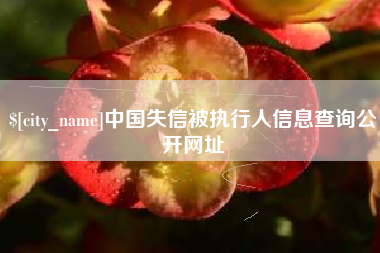 乌鲁木齐中国失信被执行人信息查询公开网址