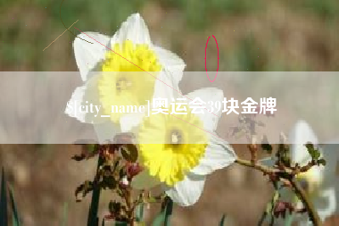 乌鲁木齐奥运会39块金牌