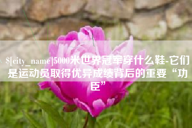 乌鲁木齐5000米世界冠军穿什么鞋-它们是运动员取得优异成绩背后的重要“功臣”