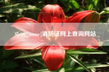 乌鲁木齐消防证网上查询网站