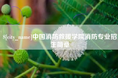 乌鲁木齐中国消防救援学院消防专业招生简章