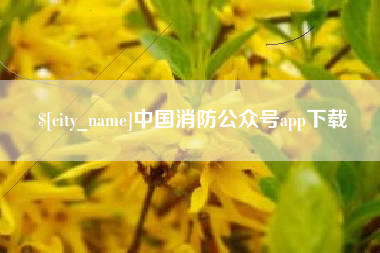 乌鲁木齐中国消防公众号app下载