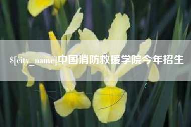 乌鲁木齐中国消防救援学院今年招生