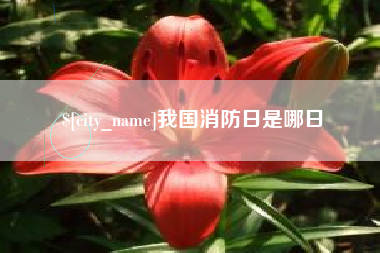乌鲁木齐我国消防日是哪日