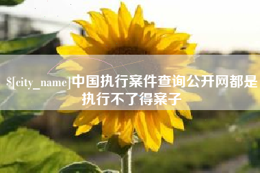 乌鲁木齐中国执行案件查询公开网都是执行不了得案子