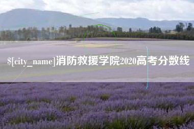 乌鲁木齐消防救援学院2020高考分数线