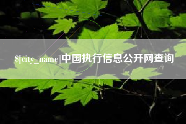 乌鲁木齐中国执行信息公开网查询