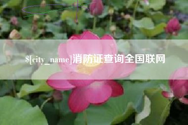 乌鲁木齐消防证查询全国联网