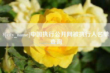 乌鲁木齐中国执行公开网被执行人名单查询