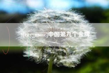 乌鲁木齐中国第九个金牌