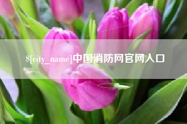 乌鲁木齐中国消防网官网入口