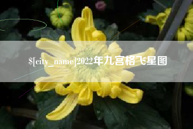 乌鲁木齐2022年九宫格飞星图
