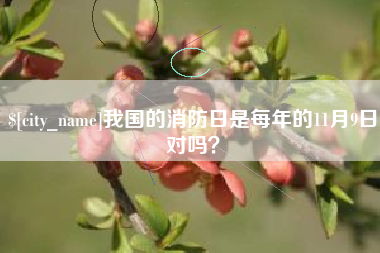 乌鲁木齐我国的消防日是每年的11月9日对吗？