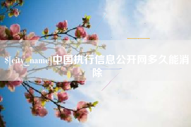 乌鲁木齐中国执行信息公开网多久能消除