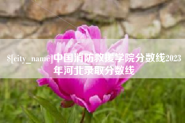 乌鲁木齐中国消防救援学院分数线2023年河北录取分数线