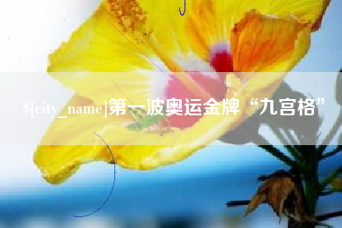 乌鲁木齐第一波奥运金牌“九宫格”