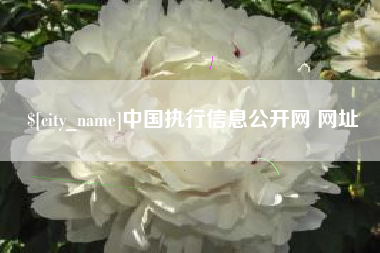 乌鲁木齐中国执行信息公开网 网址