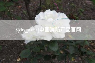 乌鲁木齐中国消防产品官网