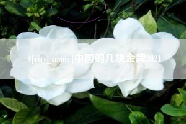 乌鲁木齐中国的几块金牌2021