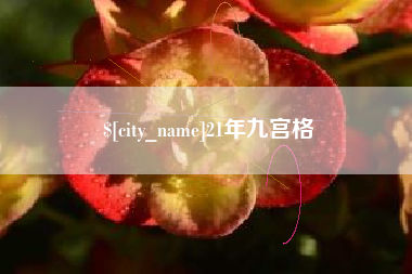 乌鲁木齐21年九宫格
