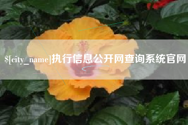 乌鲁木齐执行信息公开网查询系统官网