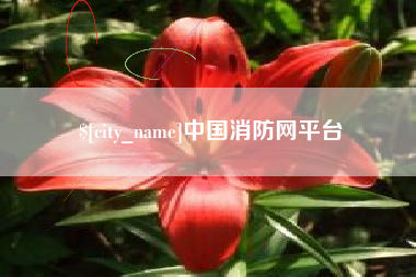 乌鲁木齐中国消防网平台