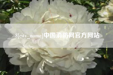 乌鲁木齐中国消防网官方网站