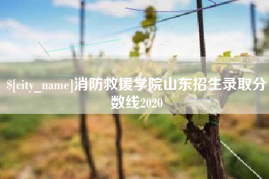 乌鲁木齐消防救援学院山东招生录取分数线2020