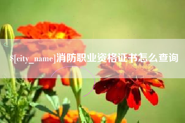 乌鲁木齐消防职业资格证书怎么查询