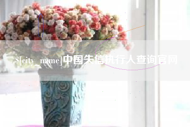乌鲁木齐中国失信执行人查询官网