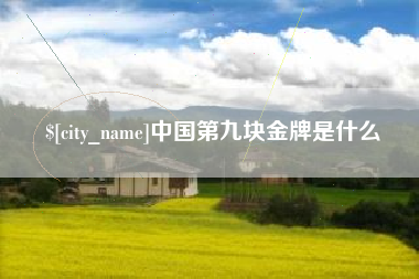 乌鲁木齐中国第九块金牌是什么