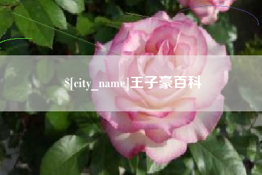 乌鲁木齐王子豪百科