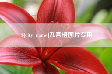 乌鲁木齐九宫格图片专用
