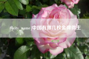 乌鲁木齐中国有哪几枚金牌得主