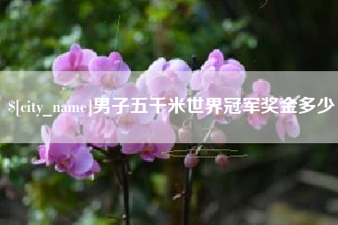 乌鲁木齐男子五千米世界冠军奖金多少